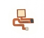 Kliknij aby zobaczyć zdjęcie w oryginalnej wielkości